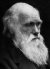 darwinsm.jpg (1423 bytes)